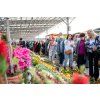 🌺FLORIA LÉTO Kroměříž