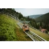 Krkonoše, medvědi 🐻 a Stezka korunami stromů