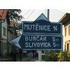 24 mutenice