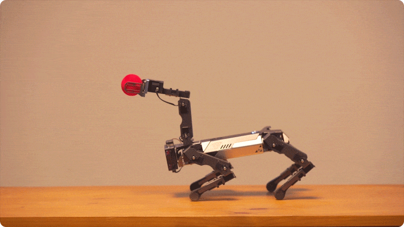 CM4 XGO-Lite robotický pejsek pro Raspberry Pi - 15 DOF