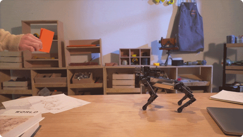 CM4 XGO-Lite robotický pejsek pro Raspberry Pi - rozpoznávání barev