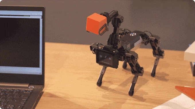 CM4 XGO-Lite robotický pejsek pro Raspberry Pi - demo mód