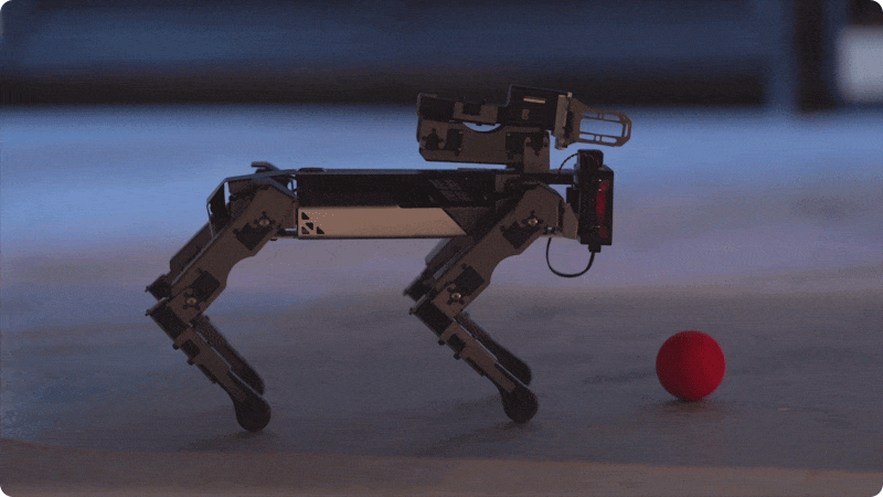 CM4 XGO-Lite robotický pejsek pro Raspberry Pi - rameno