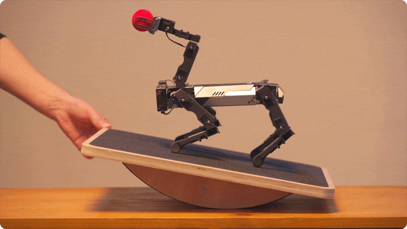 CM4 XGO-Lite robotický pejsek pro Raspberry Pi - stabilizace