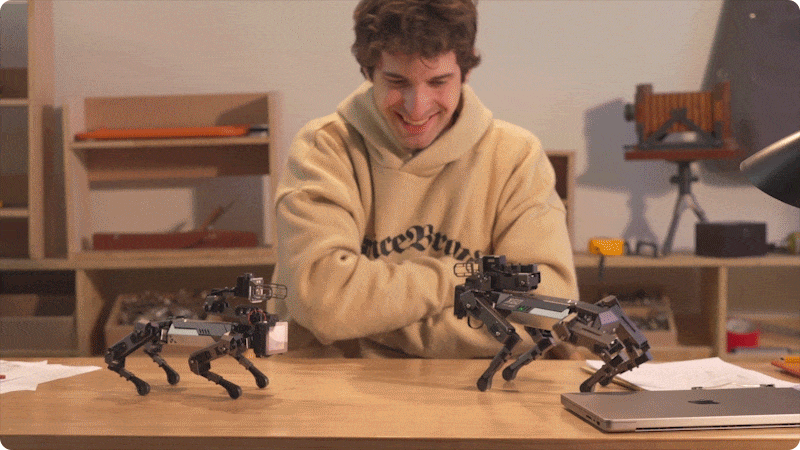 CM4 XGO-Lite robotický pejsek pro Raspberry Pi - tanec