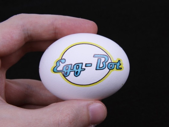 EggBot Deluxe Kit - vajíčko