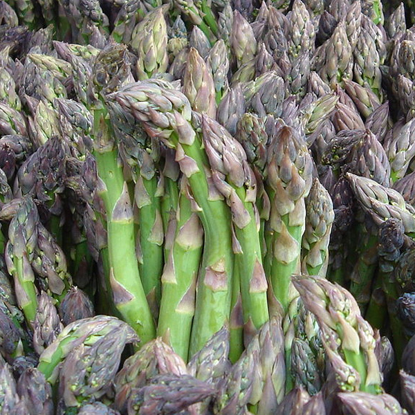 Asparagus