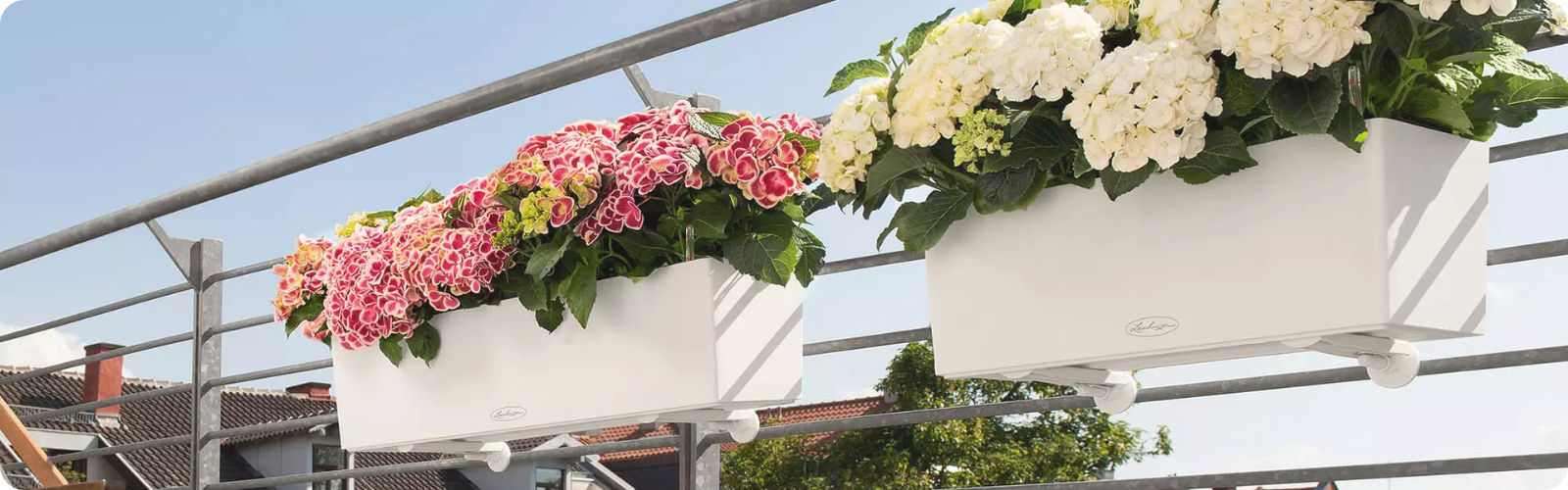 Návod na pestovanie v exteriérových kvetináčoch Lechuza Balconera a Lechuza Nido