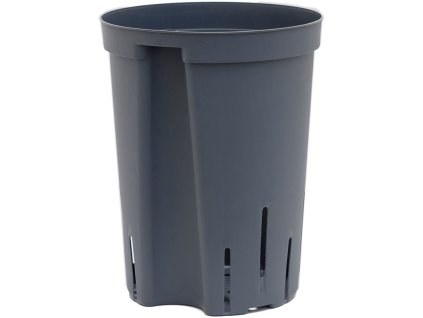 6CPOH1519