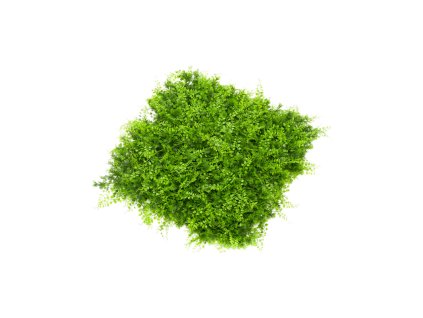 Umelá papraď (Fern Juniperus), štvorec 50 x 50 cm, UV-rezistentná