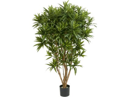 Umelá rastlina dracaena reflexa jamaica rozkonárená V150 cm