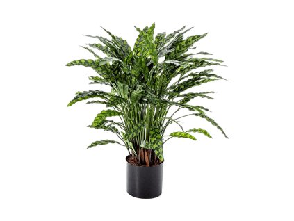 Umelá rastlina calathea Bush (123 listov) V88cm