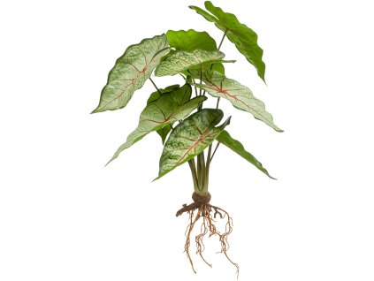 Umelý kvet Caladium V35cm