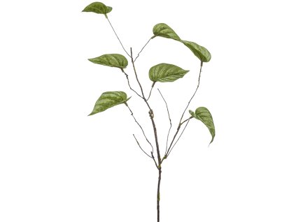 Umelý kvet Cissus V66cm
