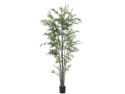 Umelý kvet Bamboo V210cm