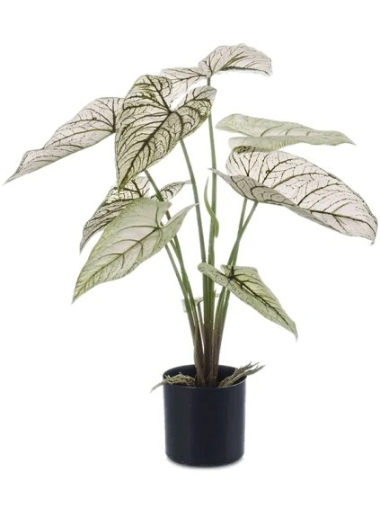 Umelý kvet Caladium V60cm