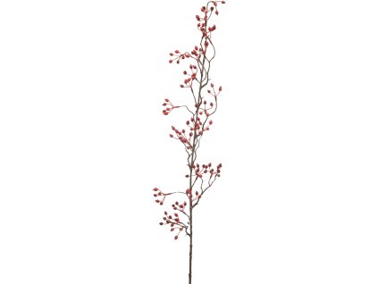 Rosehip V105cm