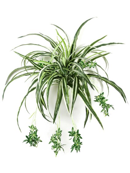 Umelý kvet Spider V60cm