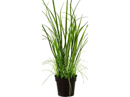 Umelý kvet Grass Wild V70cm