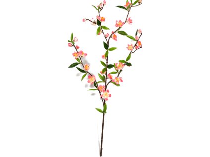 Cherry Blossom V64cm