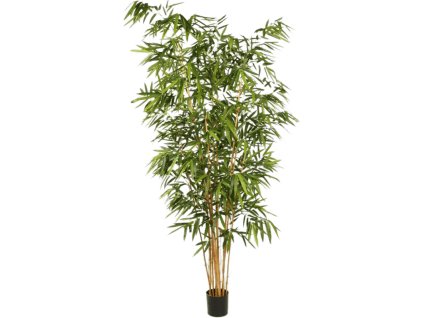 Bamboo New Big Leaf V270cm