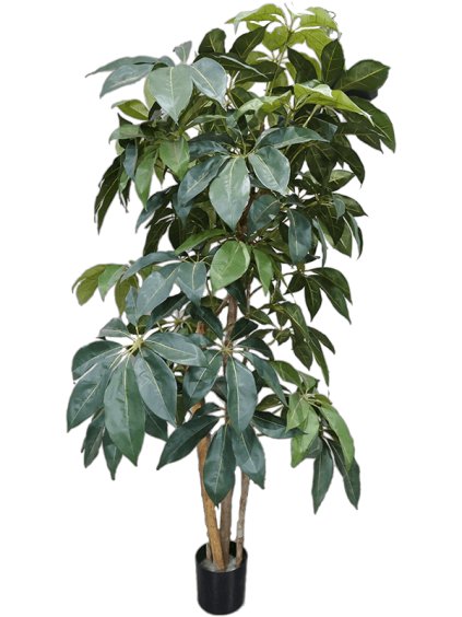 Umelý kvet Schefflera V175cm