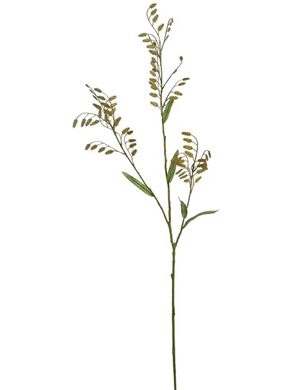 Umelý kvet Large Chasmantium V115cm