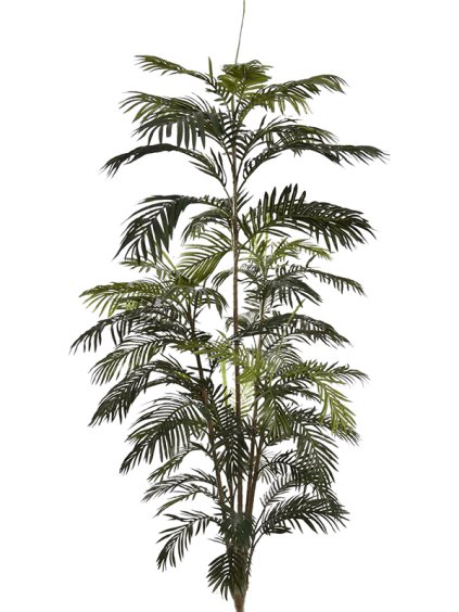 Umelý kvet Areca V210cm
