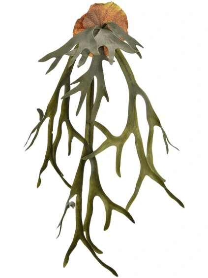 Umelý kvet Staghorn V90cm