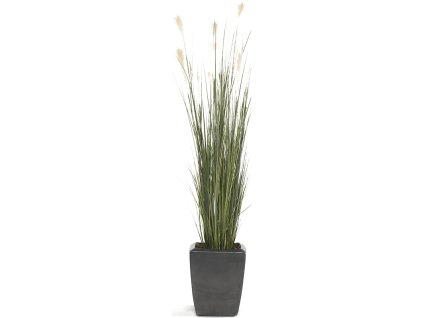 Umelý kvet Grass Pampas V150cm