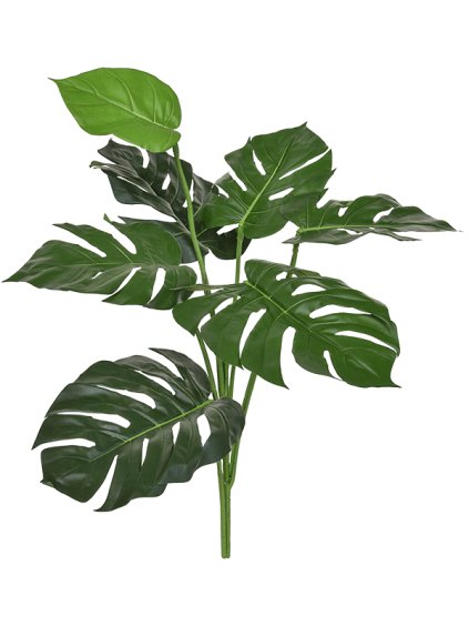 Umelý kvet Split Philodendron V67cm