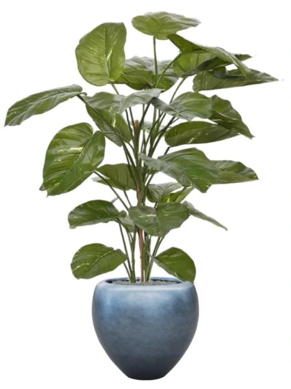 Scindapsus Aureum in Baq Metallic Silver leaf R50cm V161cm