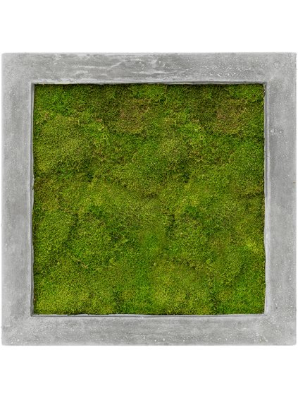Moss Painting V5cm D50cm
