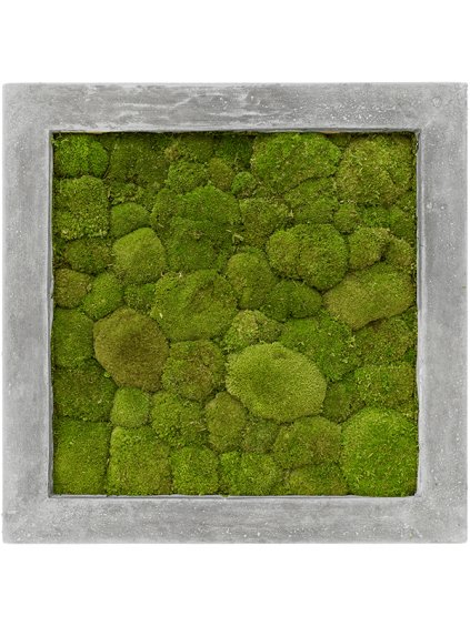Moss Painting V5cm D50cm