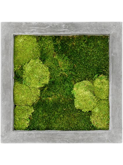 Moss Painting V5cm D50cm