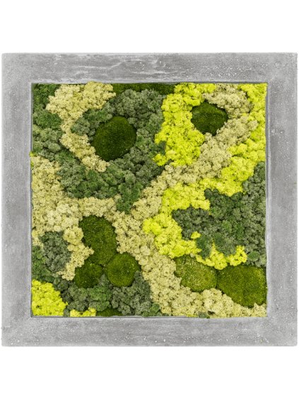 Moss Painting V5cm D50cm