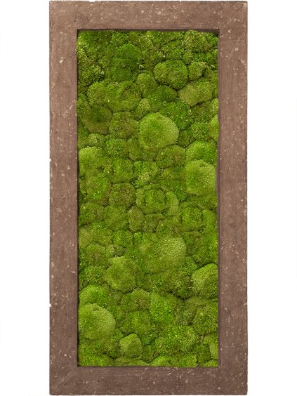 Moss Painting V5cm D100cm