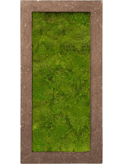 Moss Painting V5cm D100cm