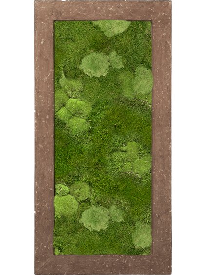 Moss Painting V5cm D100cm