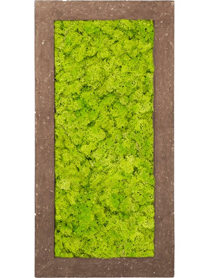Moss Painting V5cm D100cm