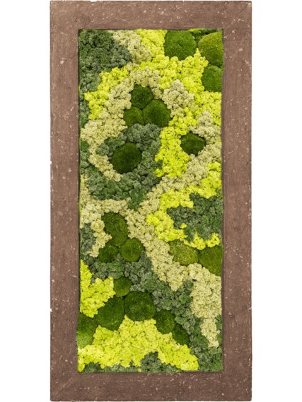 Moss Painting V5cm D100cm