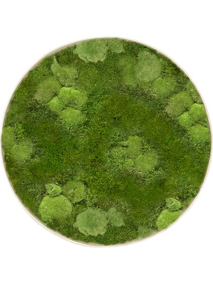 Moss Painting R70cm V5cm