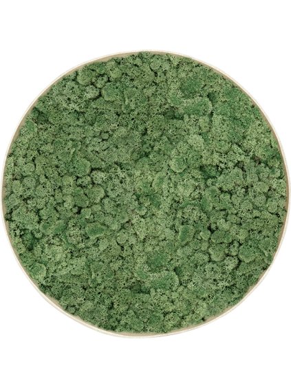 Moss Painting R70cm V5cm