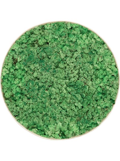 Moss Painting R70cm V5cm