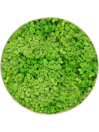 Moss Painting R70cm V5cm