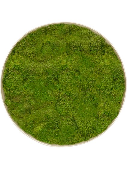 Moss Painting R100cm V5cm