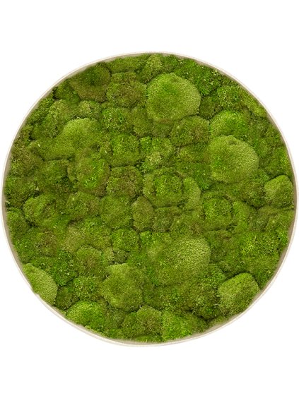 Moss Painting R100cm V5cm