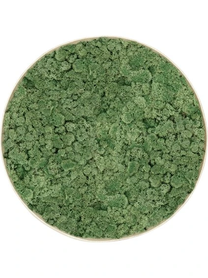 Moss Painting R100cm V5cm