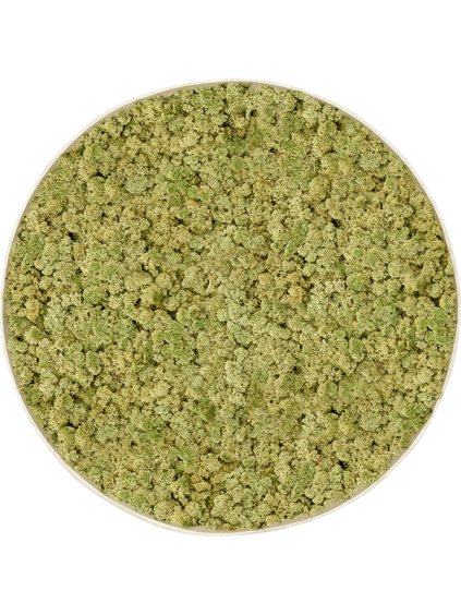 Moss Painting R100cm V5cm