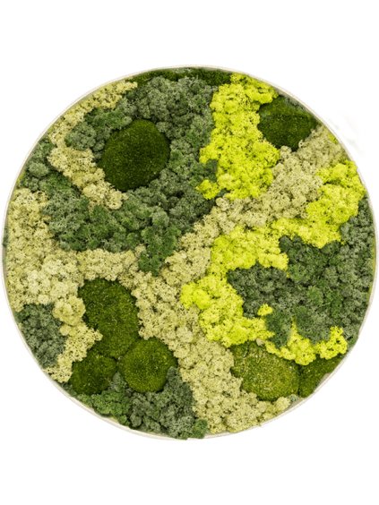 Moss Painting R100cm V5cm